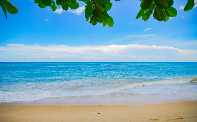 ¿Qué significa soñar con la playa?